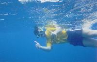 Great Barrier Reef 2.jpg  1024x657  89 KB